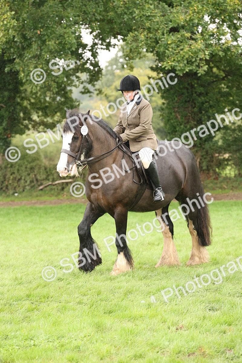 SBM_69828 - S69 - Show Cob Ridden