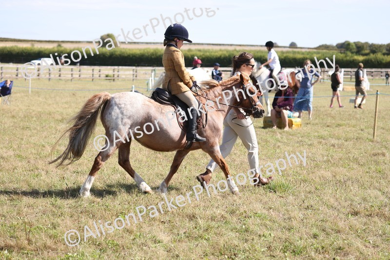 20260906-2273 - Class 16 - Family Pony