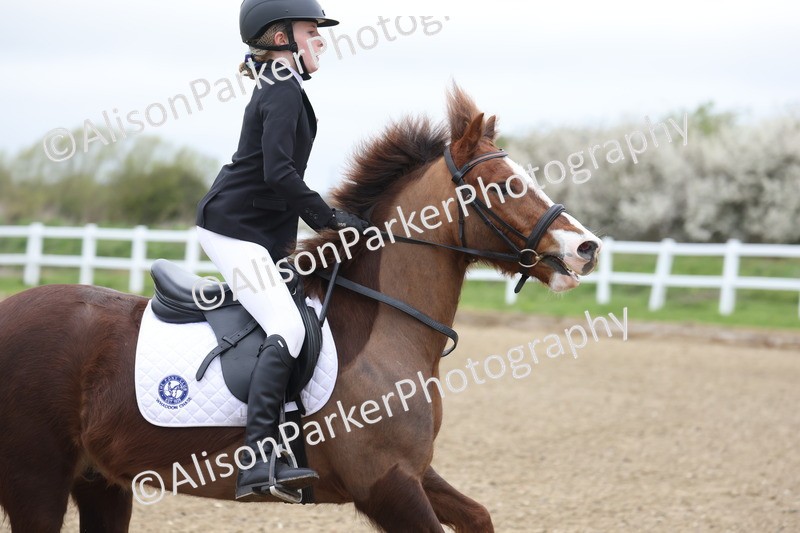 20260403-0333 - Class 2 - 50cm