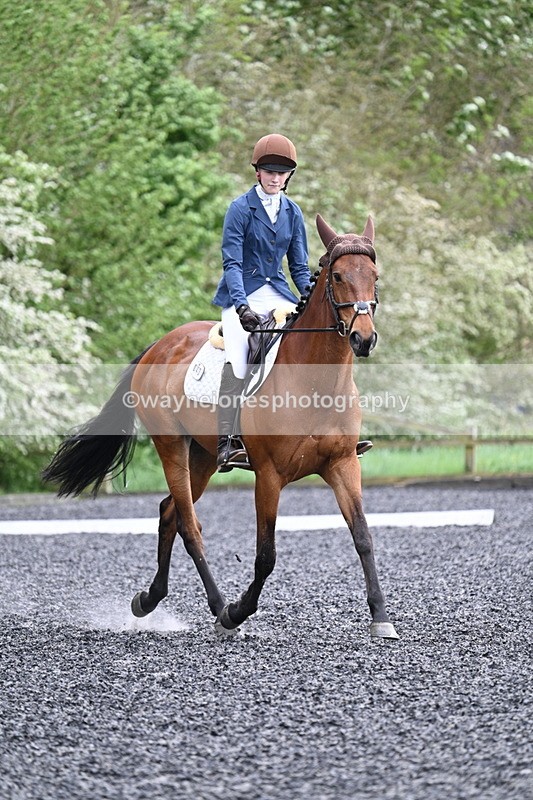 WJ7_1897 - Time 15:05 to 15:27