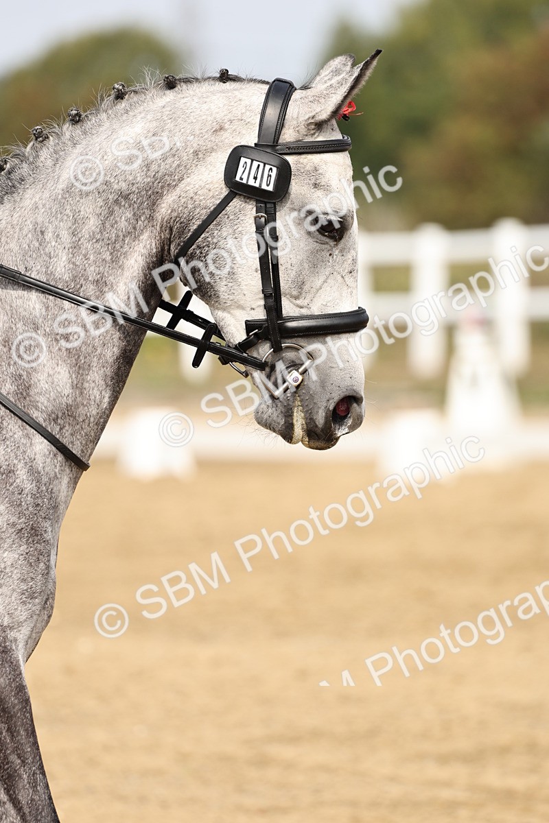 SBM_012435 - Class 2 - Prelim 5