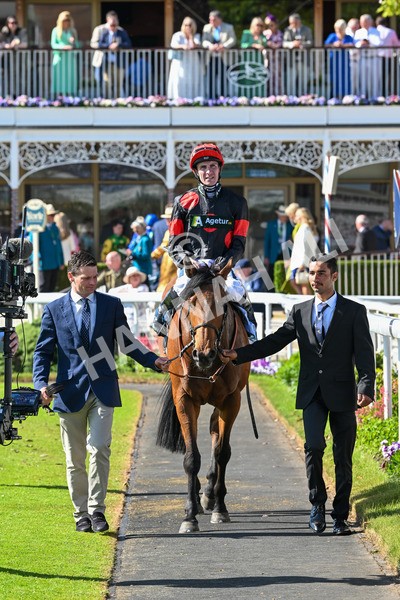 140525-Race 5-Rare Change-2774 - Race 5 4.18pm Conundrum HR Consulting Handicap