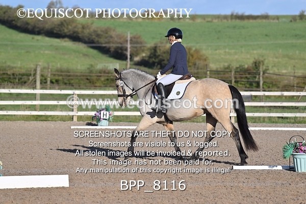 BPP_8116 - SHORT ARENA