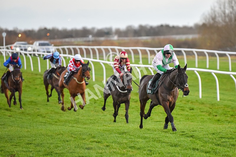 191223-Race 7-Wilful-9594 - Race 7