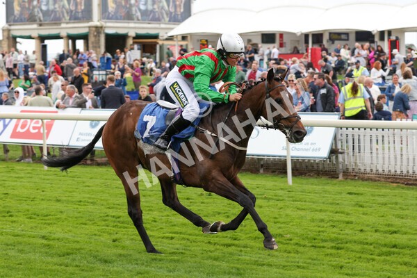 yr11062022r1-161 - Race 1 12.45pm Macmillan Ride of Their Lives, supported by Sky Bet
