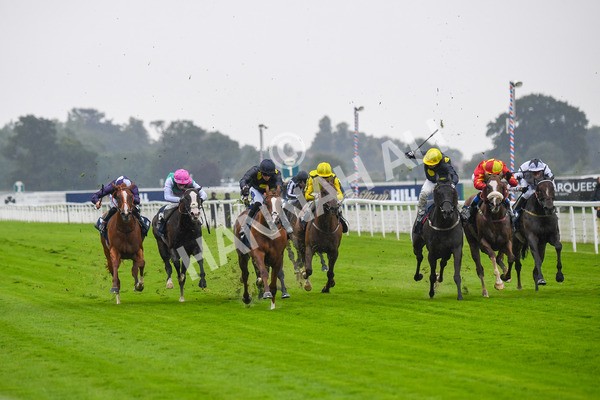 140723-Race 2-Swingalong-0141 - Race 2 2.40pm William Hill Summer Stakes