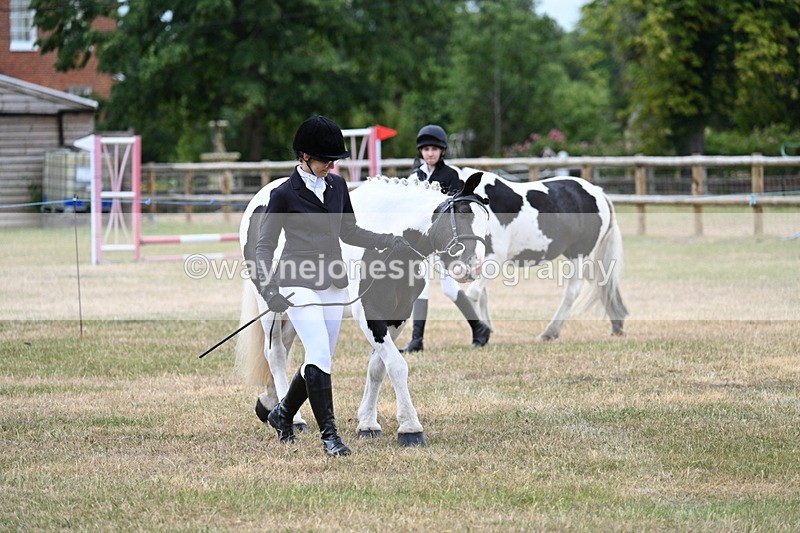 WJ7_1459 - Class 4 Prettiest Mare up to 14.2hh in hand