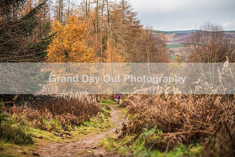 TVU 50  60K-699 - High Terrain Events Tweed Valley 50 & 65K Ultra Trail Races Sunday 19th November 2023