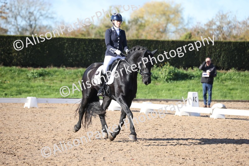 20251102-0549 - Class 3 - Novice 5