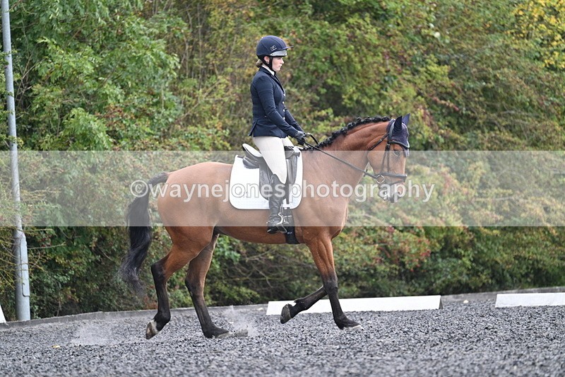 WJ7_3385 - Time 09:54 to 10:54