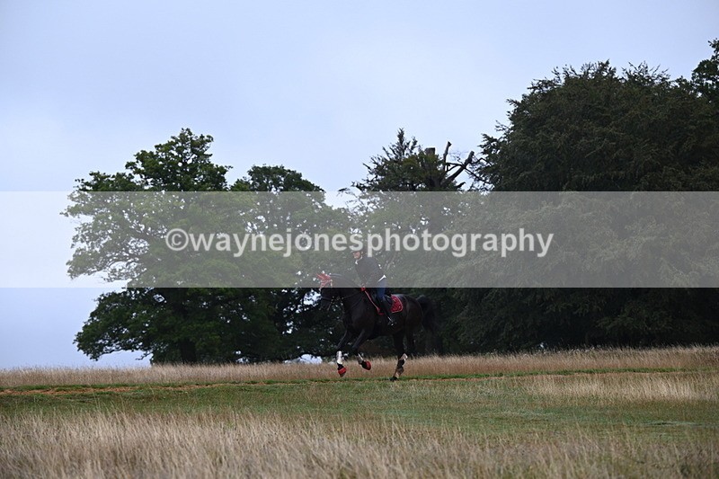 DSC_1690 - Time at Statue 12:13 to 12:32