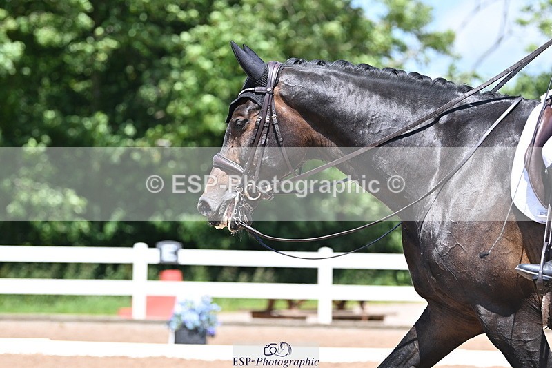 240621A-133806-03402 - Cls 15 BD Music Adv Medium