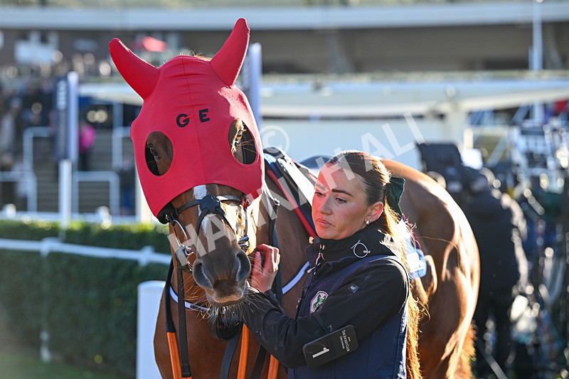 251025-Race 6-Pied Piper-9649 - Race 6