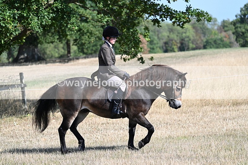 WJ7_2906 - Class 8 Ridden Tack & Turnout