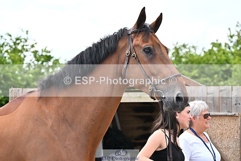 240718A-105323-01921 - Trot Up 2pm to 3pm - This folder is not in time order