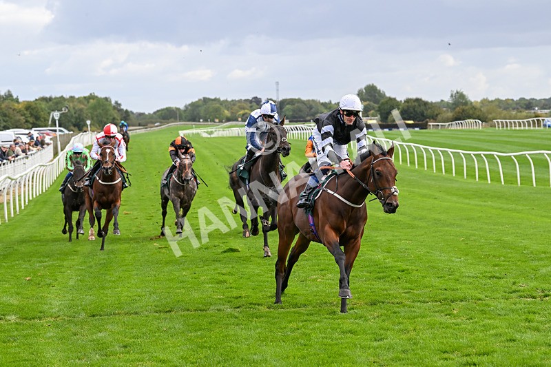 021024-Race 3-Kirkdale-9325