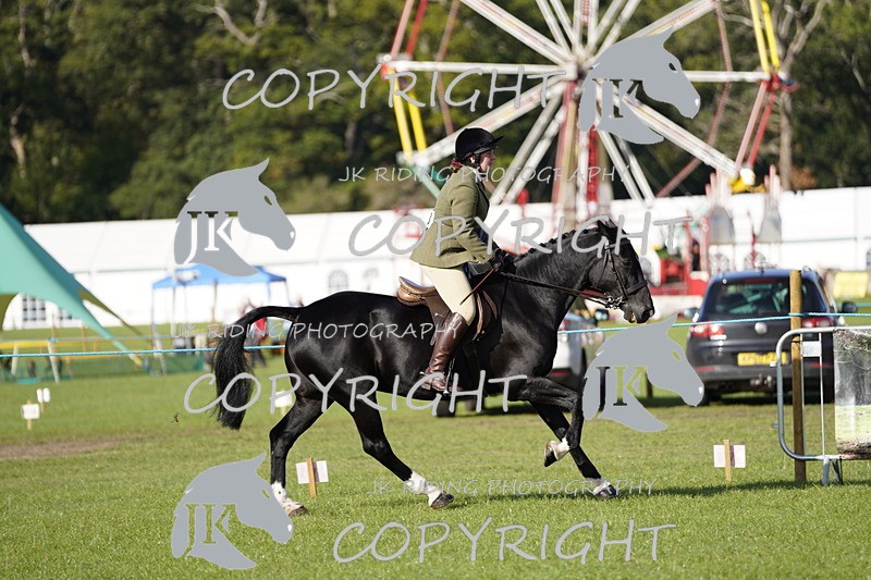 _DSC9603 - Class 8 & 17 Ridden Hunter & Ridden Hunter Pony