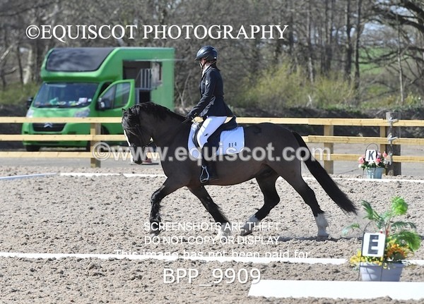 BPP_9909 - TEAM QUEST PRELIM 3