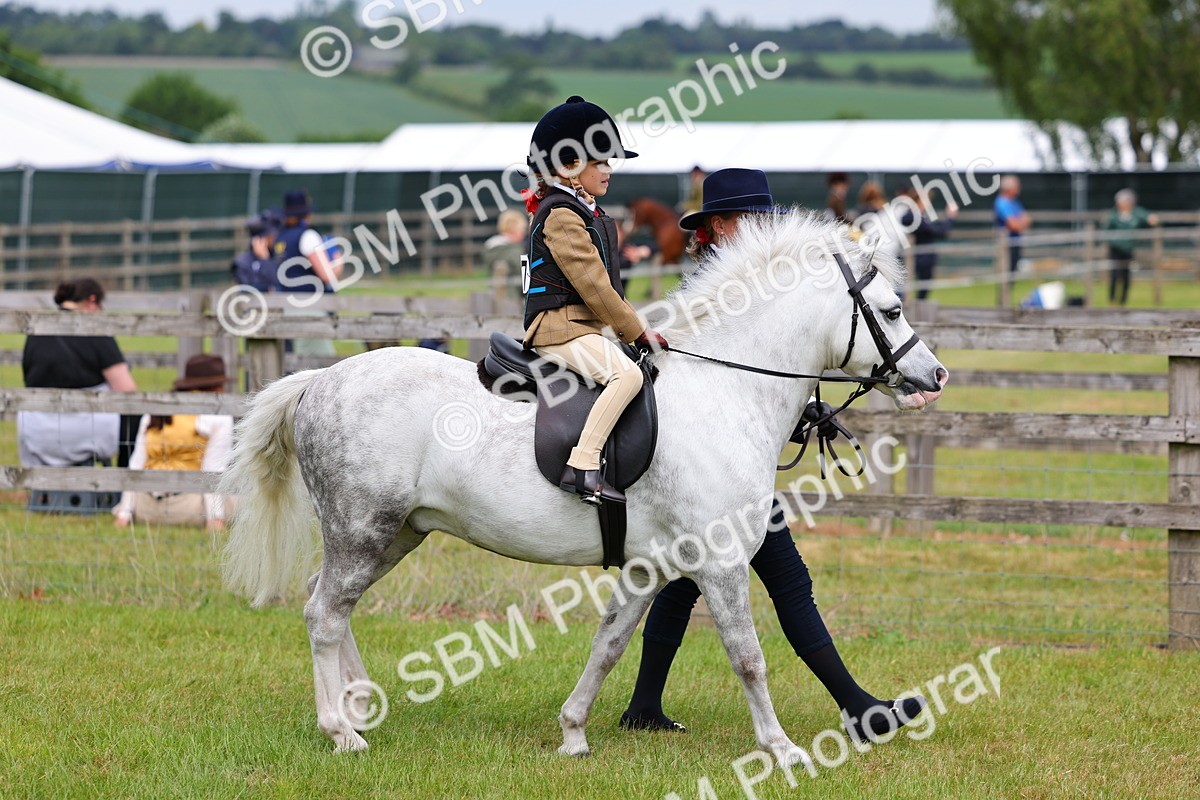 SBM_08060 - Class 42-43 - LIHS BSPS Heritage Working Sports Pony