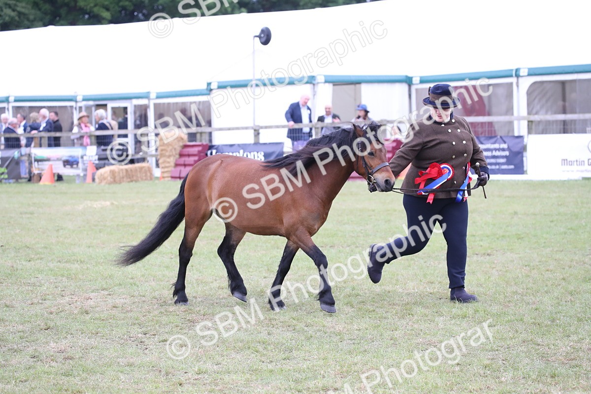 SBM_09814 - Ch 50 - Price Family Supreme In Hand