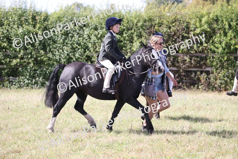 20260906-3064 - Class 18 - Childs First Pony