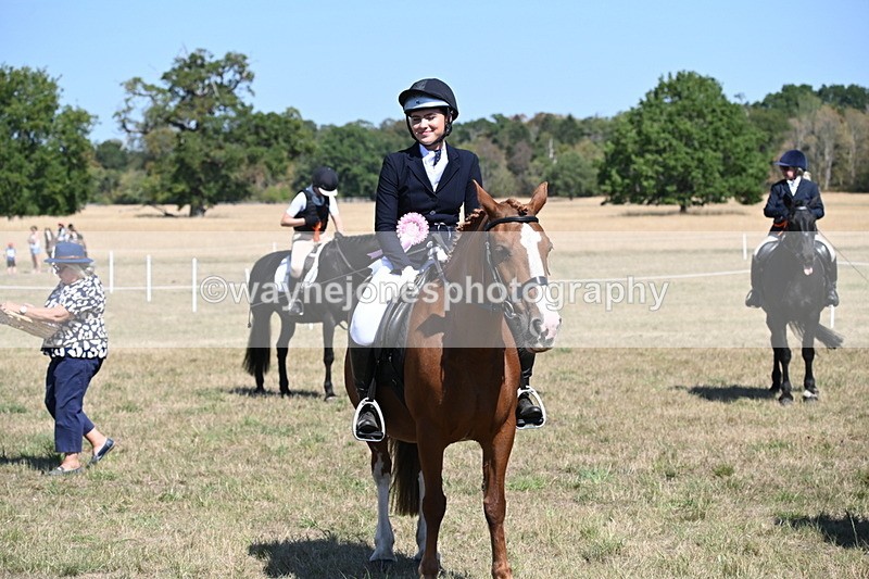WJ6_8513 - Class 37a Best Loan Pony Ridden