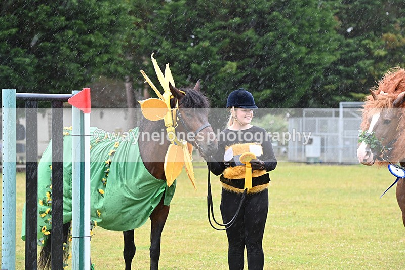 WJ6_9406 - Class 11 Fancy Dress