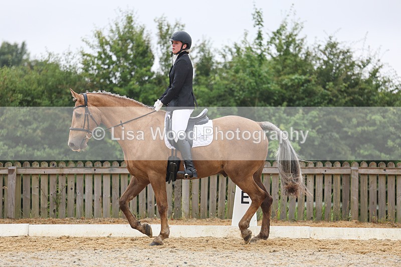 3E7A8612 - Class 2: Intro 3 2024 section B