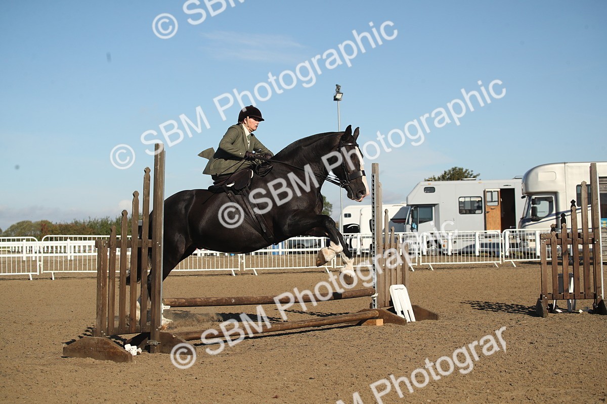 SBM_11342 - Class 501 -Riding Club Pony