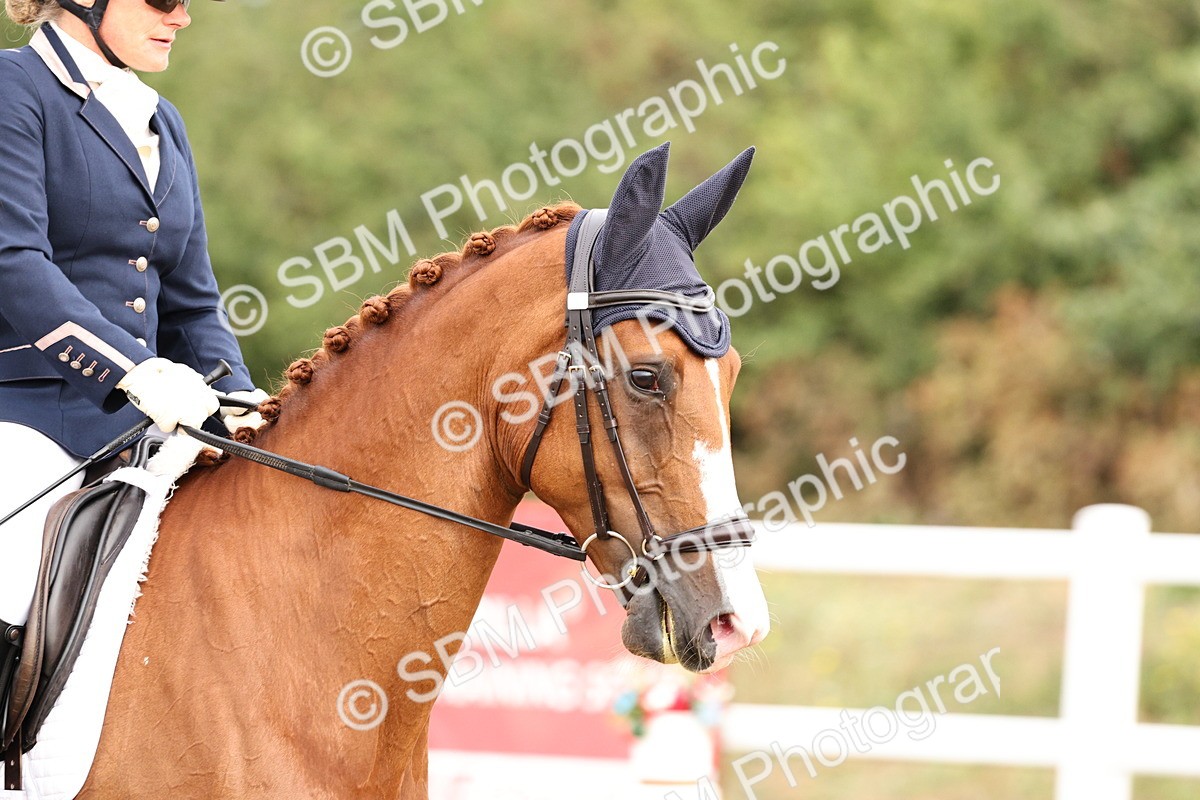 SBM_011477 - Class 1 - Prelim 4