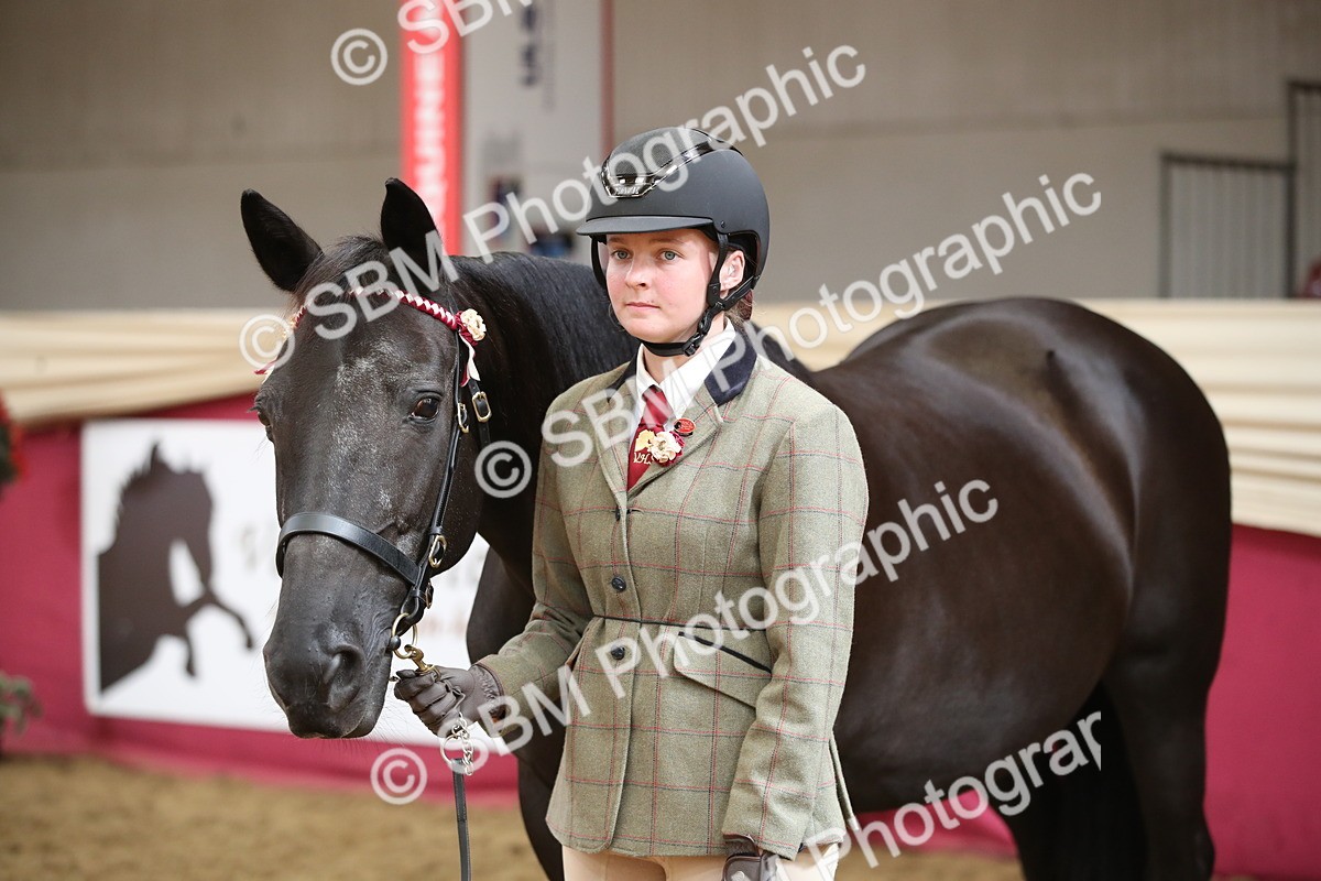 SBM_05313 - Class 8R - Regional IH Veteran