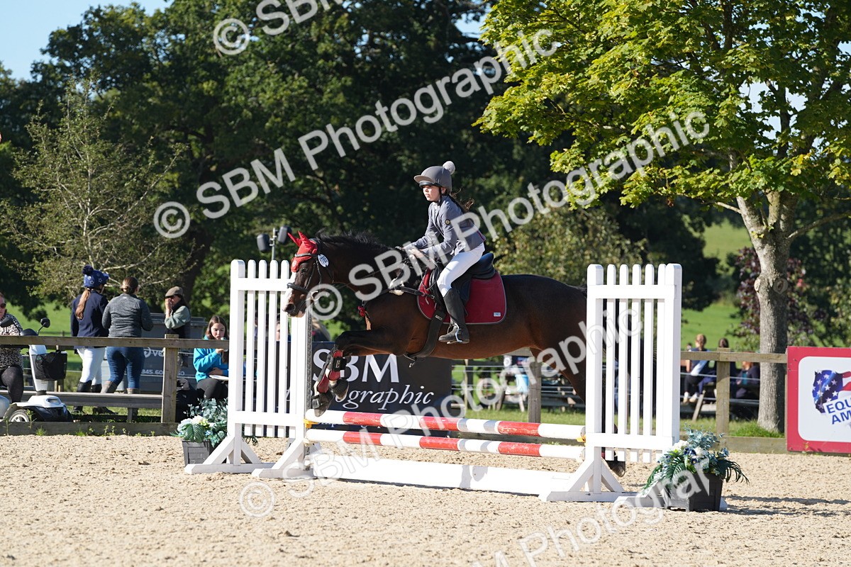 SBM_36186 - J 20 - Junior Horse 50cm Championship