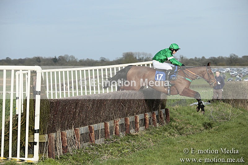 PtP 230319 466 - VWH Hunt Siddington Point-to-Point Racing 23/03/19