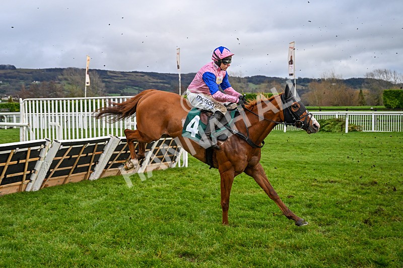 121225-Race 3-Fortune De Mer-5016 - Race 3