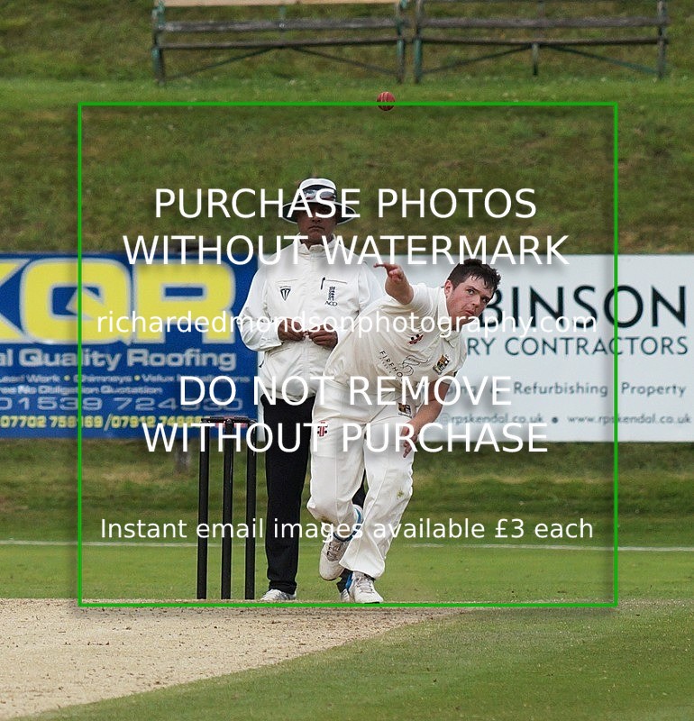 DSC05106 1 - Cricket Images 2019