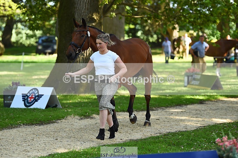 230524-160614-00682 - 253-MY_EASTWOOD_BRIGHTSIDE-Darcy_Zander-WEDTrotUp+DR