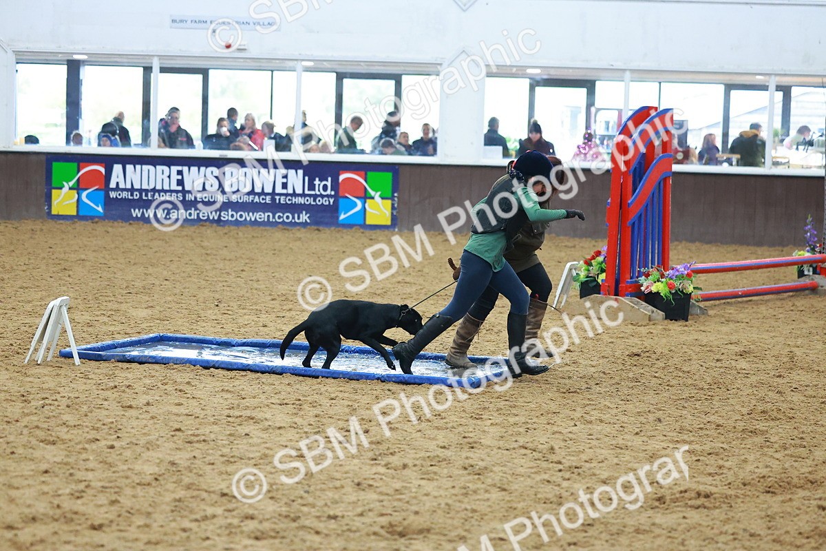 SBM_002431 - Class 3 - Horse & Hound (60cm)
