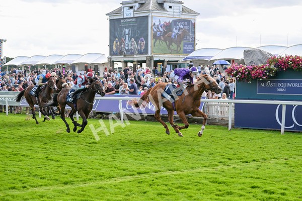 230824-Race 6-Angelo Buonarroti-9892 - Race 6 4.45pm British Stallion Studs EBF Convivial Maiden Stakes