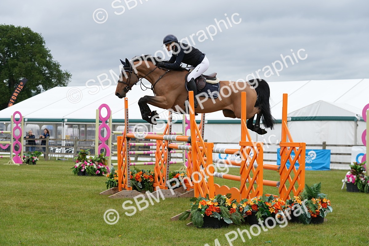SBM_03384 - Class 201 - British Horse Feeds Speedi Beet Horse of the Year Show Grade  C