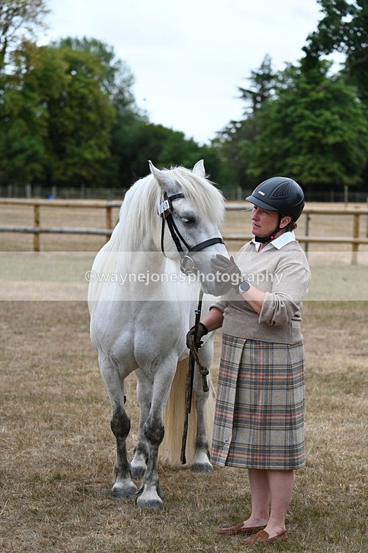 WJ7_9151 - Class 4a Prettiest Mare 14.2hh and over