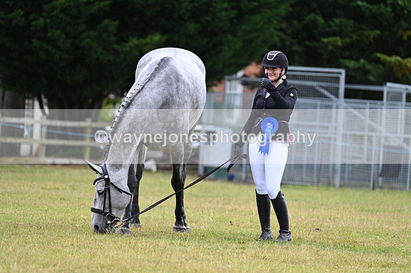 WJ7_6388 - Class 4a Prettiest Mare over 14hh