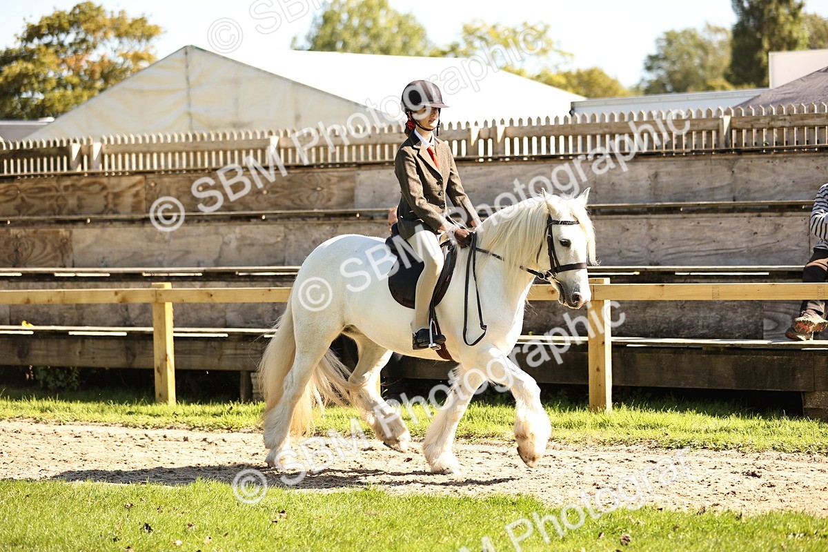 SBM_19252 - S3 - TSR Ridden Pony Showing