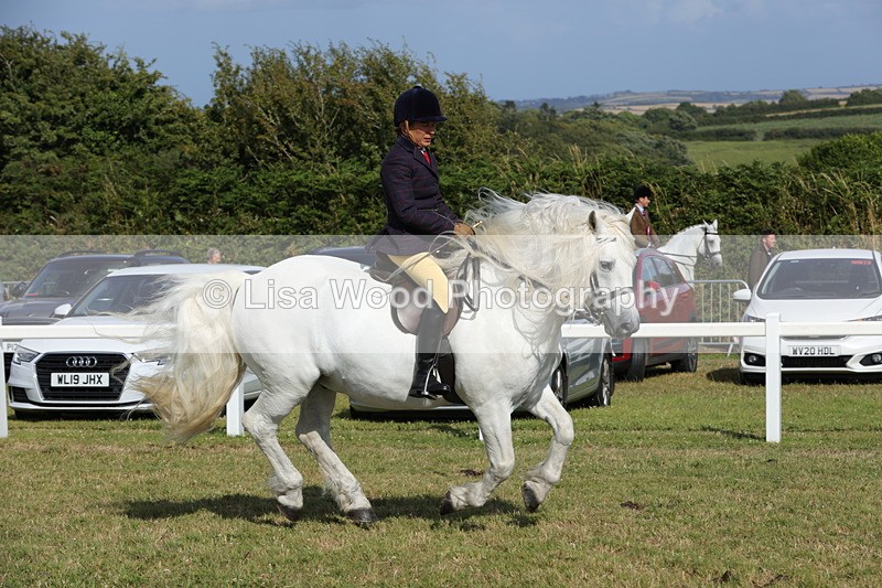1X9A5982 - Class 42: NPS Dales, Fell, Highland