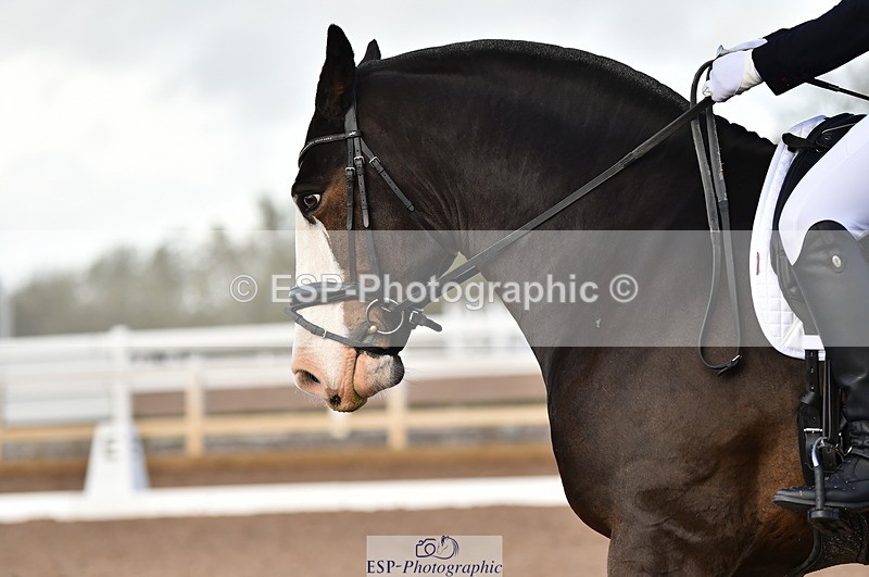 231104A-124940-01764 - Cls 8 Elementary 59