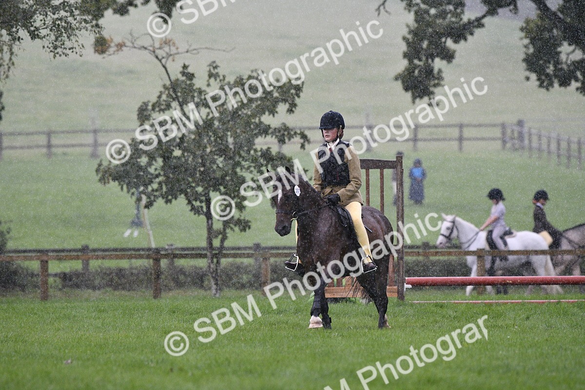 SBM_35485 - S30 - Nursery Stakes Working Hunter Pony