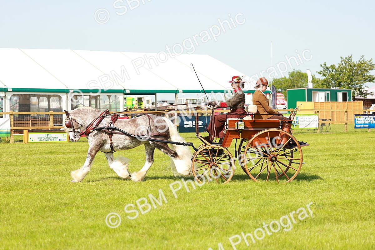 SBM_02657 - Class 2-4 - HOYS Private Driving