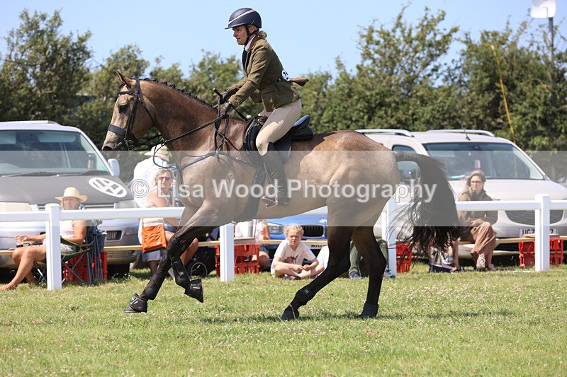 JPP_3141 - Class 22: Working Hunter 70cm