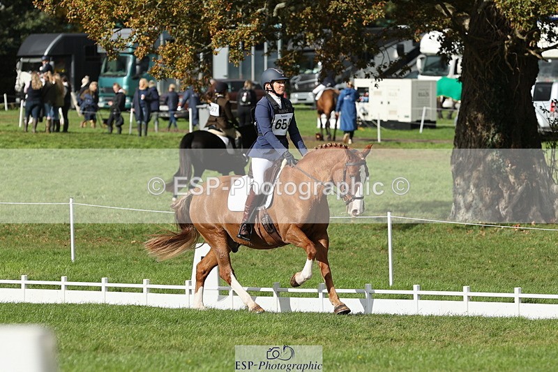 251024A-135007-12677 - H-654-Philippa.Skelton