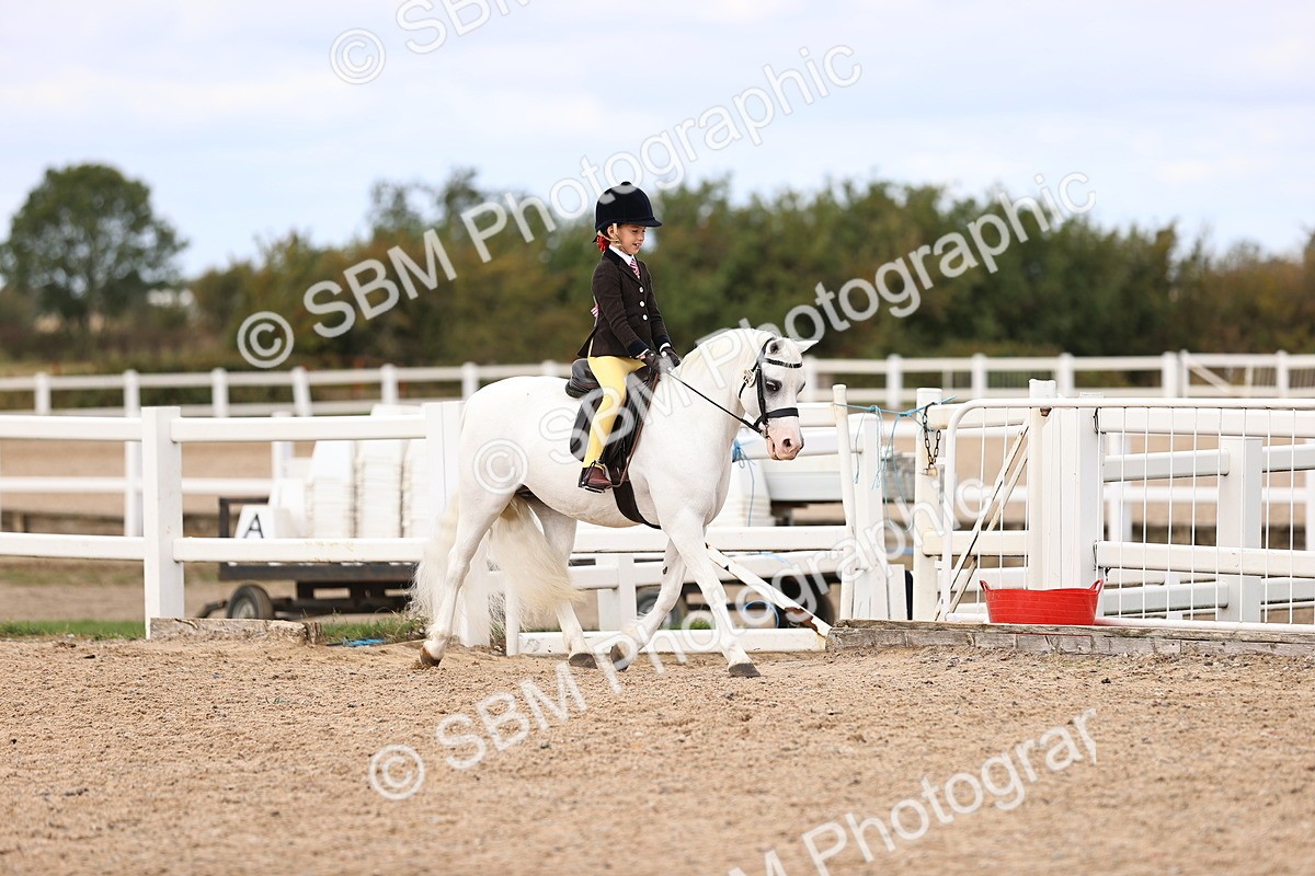 SBM_15928 - Class 416 - Prettiest Mare (IH or Ridden) Jnr