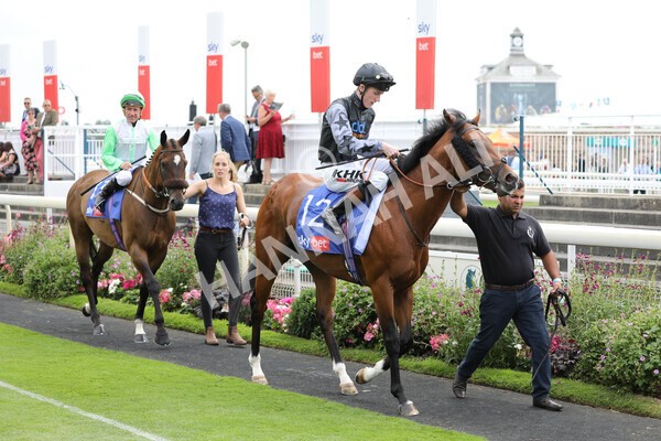 yr23072022r2-11 - Race 2 2.40pm Sky Bet Dash